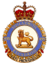 435_Transport_and_Rescue_Squadron