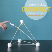 catapult-DIY-easy-kid-actvity-marshmallow